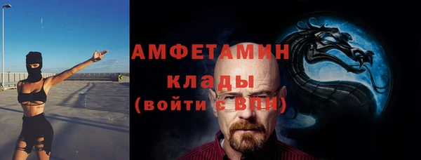 стаф Арсеньев