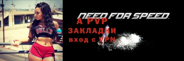 стаф Арсеньев