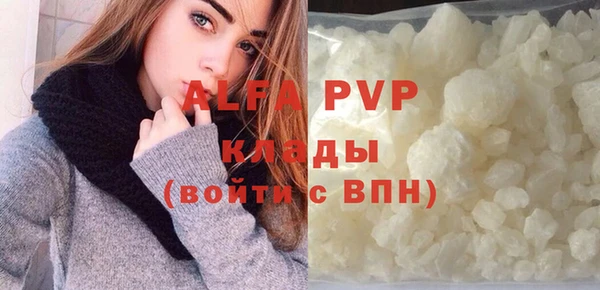 стаф Арсеньев