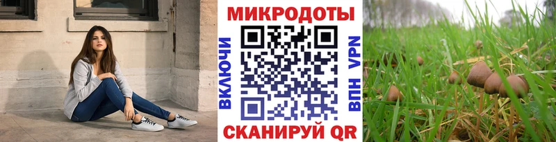 Псилоцибиновые грибы прущие грибы  OMG ссылки  Сураж 